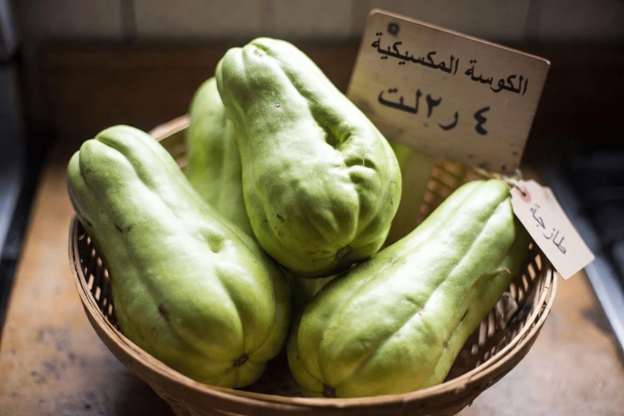 القرع الشوكي: اكتشف هذه الخضار المتعددة الاستخدامات وطرقًا سهلة لإدراجها في روتينك الصحي