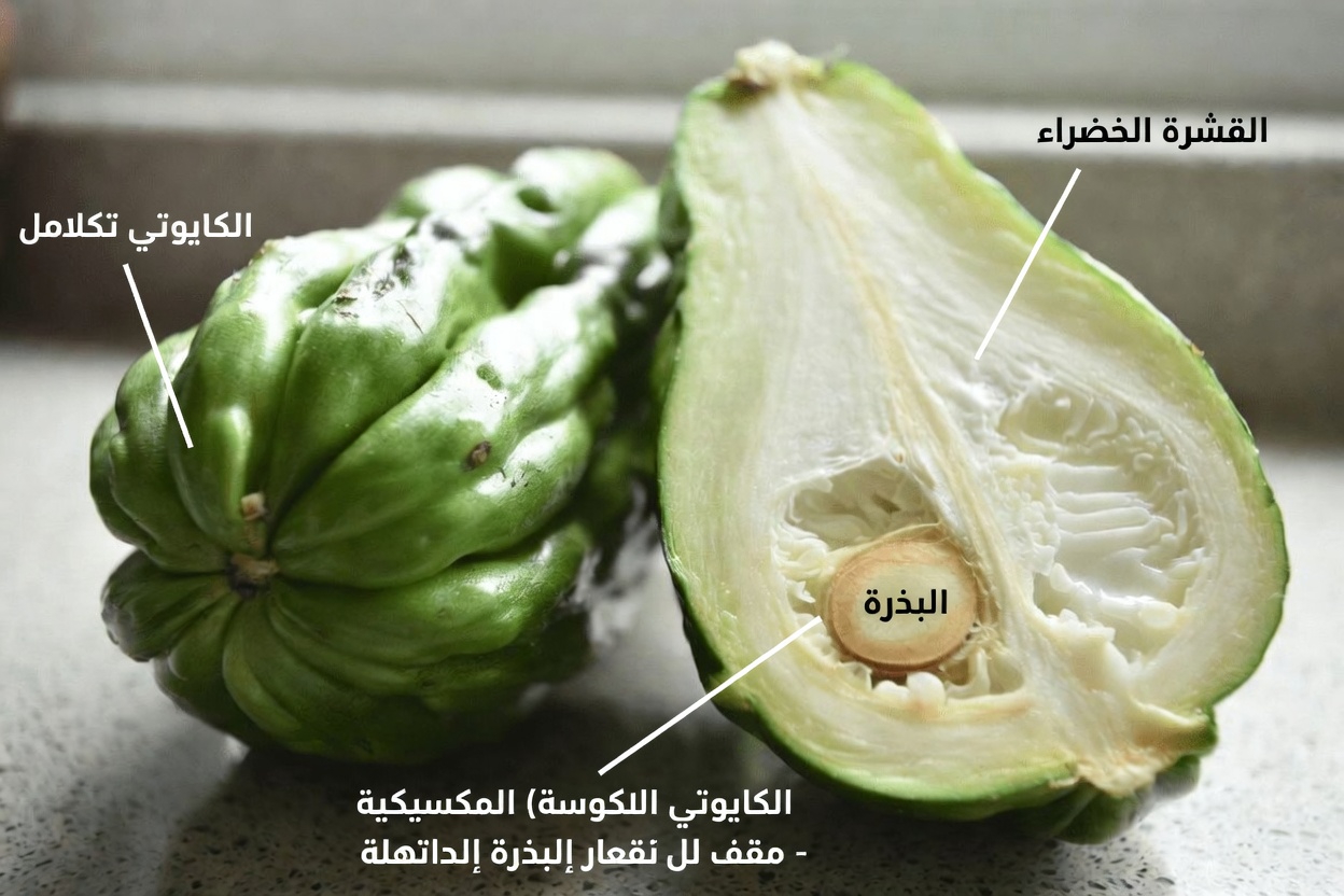 طرق عملية لإدخال قرع الشايوت في نظامك الغذائي اليومي لدعم أهداف العافية العامة