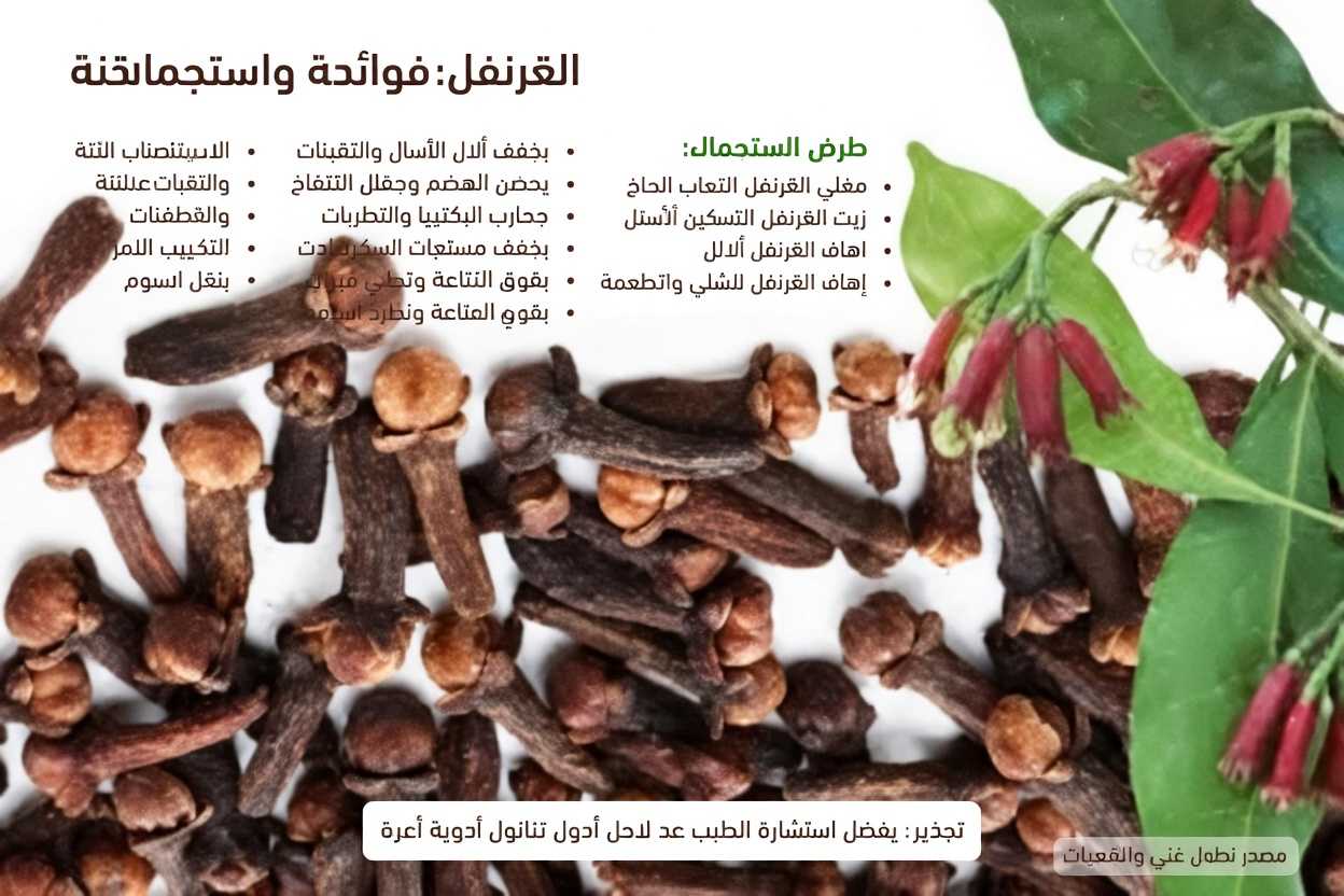 ماذا يحدث عندما تأكل فصّين من الثوم يوميًا؟ نظرة أقرب إلى هذه العادة الصحية الشائعة