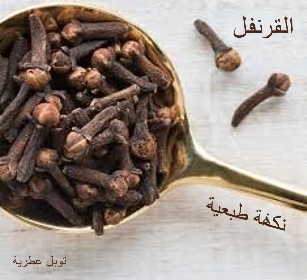 ماذا يحدث عندما تأكل فصّين من الثوم يوميًا؟ نظرة أقرب إلى هذه العادة الصحية الشائعة