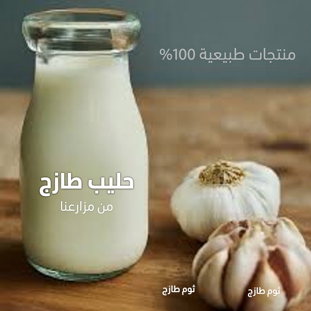 لماذا حاز حليب الثوم على الاهتمام: نظرة فاحصة على هذا المشروب التقليدي