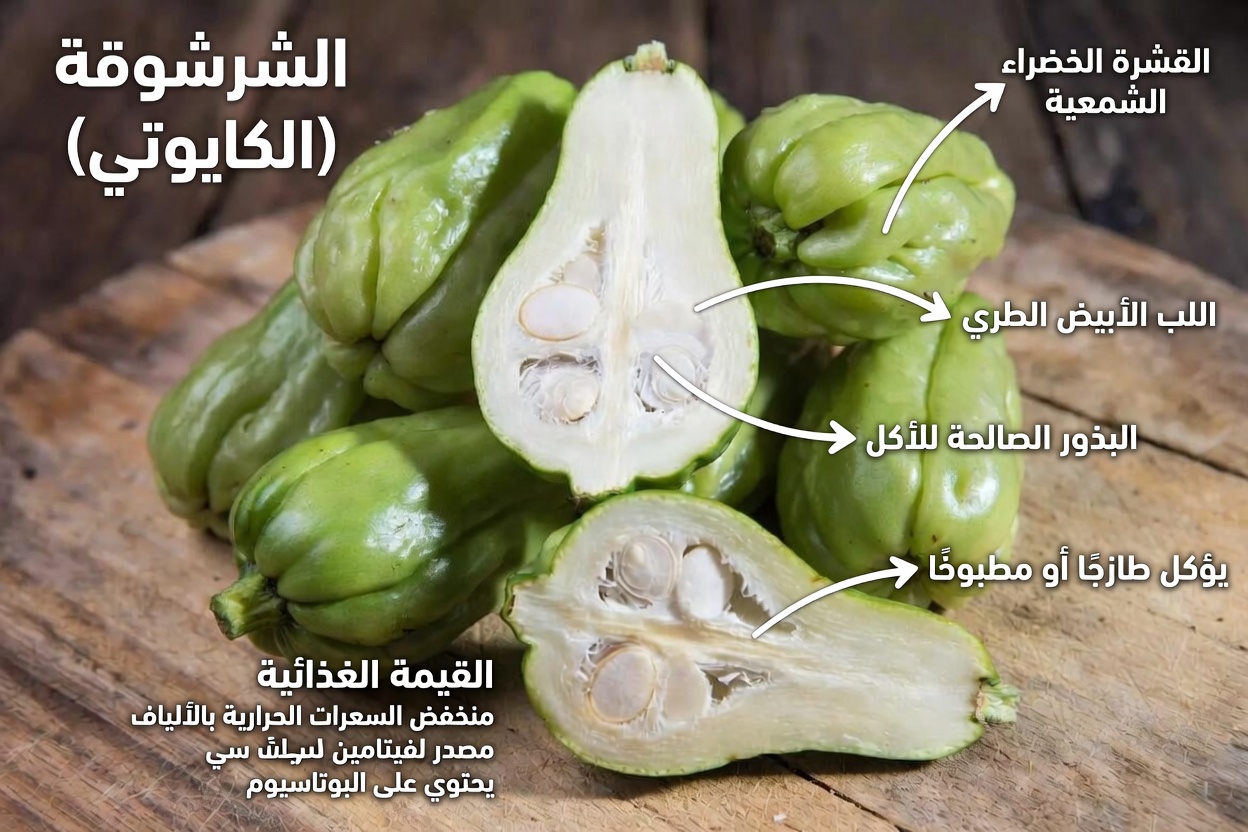 تشايوت: هل يمكن لهذه الخضار اليومية أن تدعم راحة مفاصلك وعافيتك اليومية؟