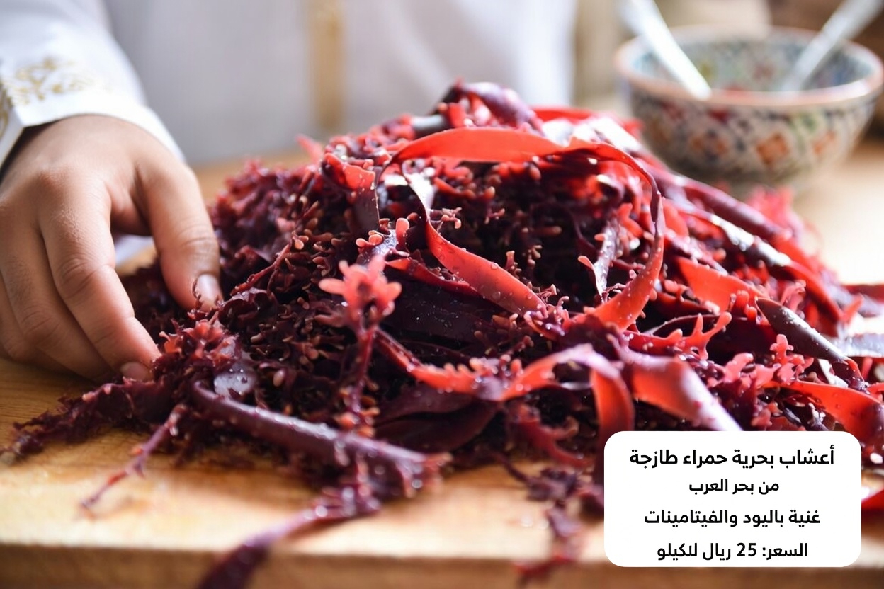 ما هو الكاراجينان وهل ينبغي أن تشعر بالقلق بشأن وجوده في طعامك؟