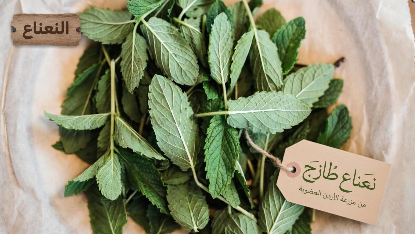 فهم ضعف الدورة الدموية وراحة أوردة الساقين