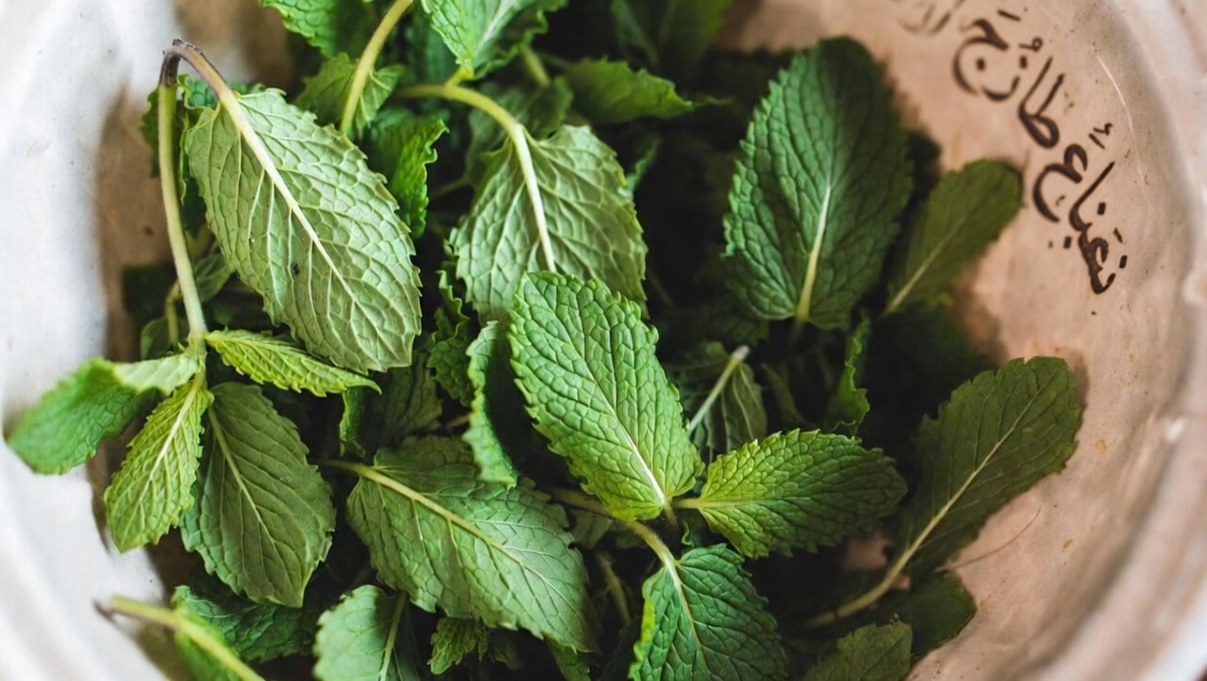 فهم ضعف الدورة الدموية وراحة أوردة الساقين