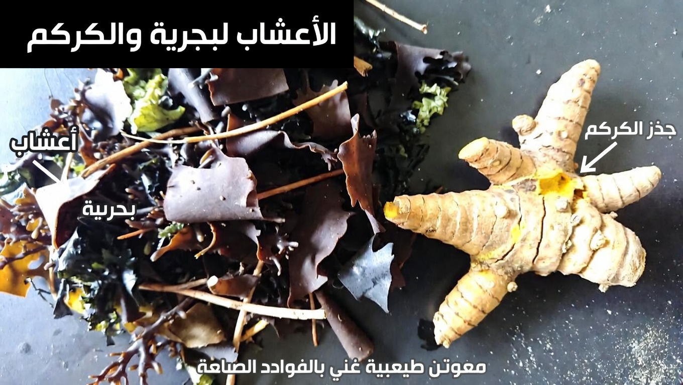 طرق بسيطة لدعم صحة الغدة الدرقية من خلال العادات اليومية والخيارات الغذائية