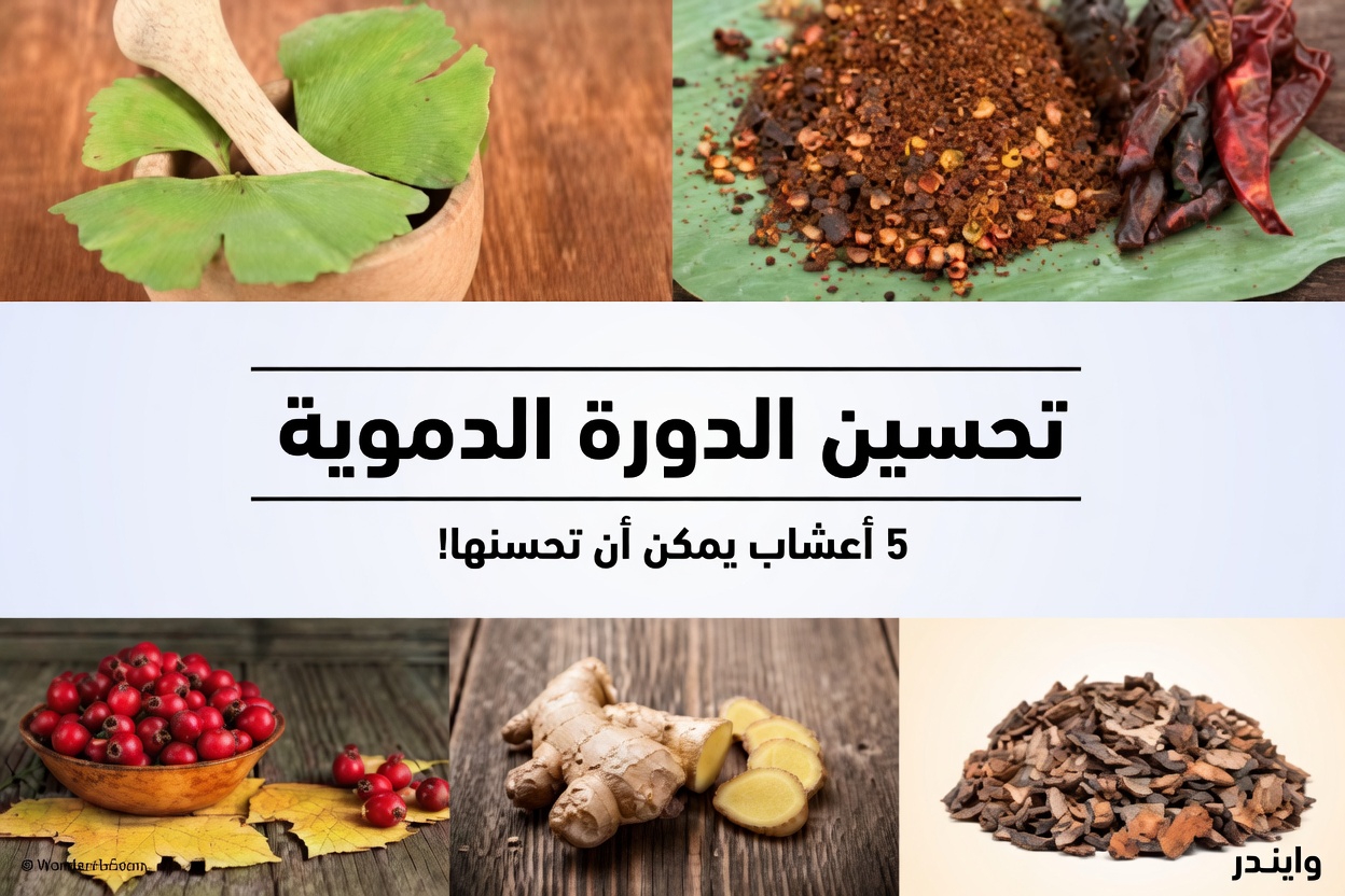 اكتشف أفضل 5 أعشاب طبيعية يومية لدعم الدورة الدموية الصحية وتدفق الدم في ساقيك