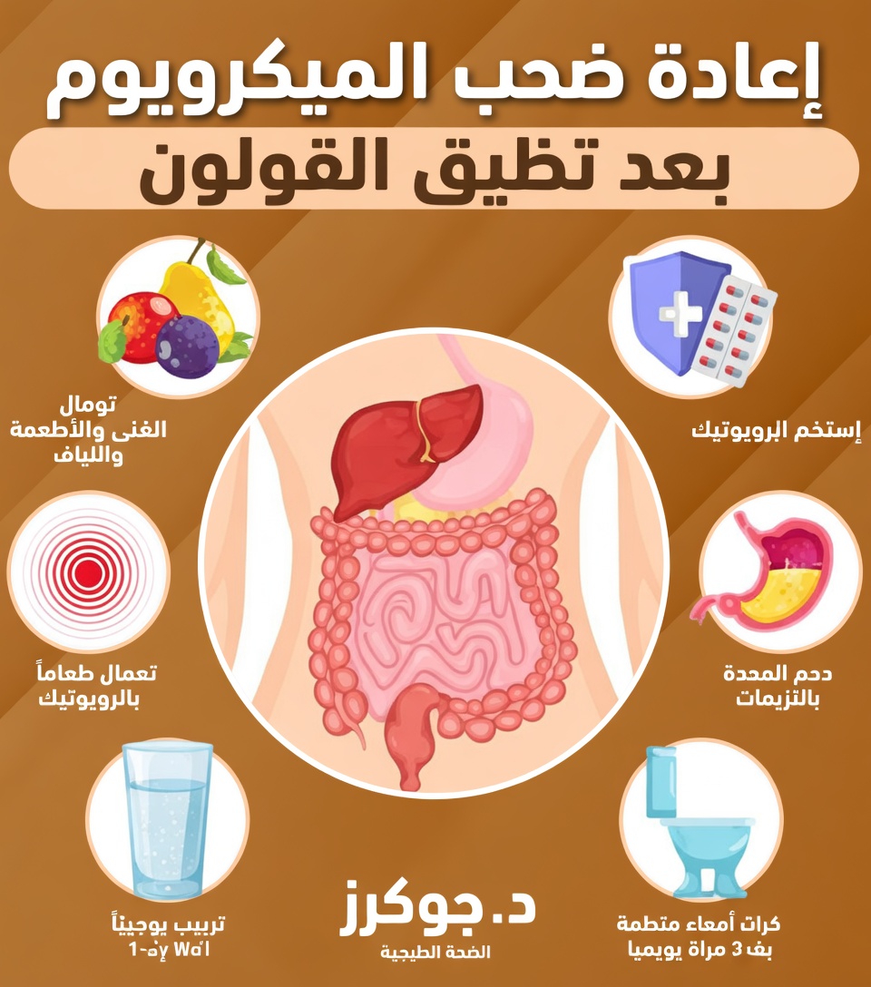 لماذا تهم صحة القولون للرفاهية اليومية