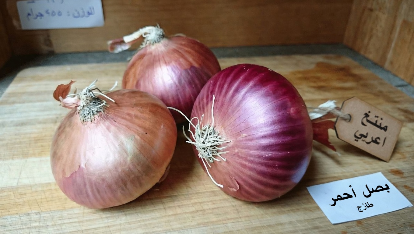 لماذا التركيز على صحة البروستاتا والمثانة؟