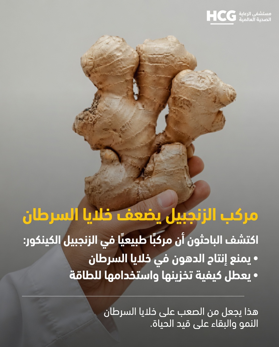 ماذا تكشف أحدث الأبحاث عن التفاعل المحتمل للزنجبيل مع الخلايا الجذعية السرطانية في الدراسات المخبرية؟