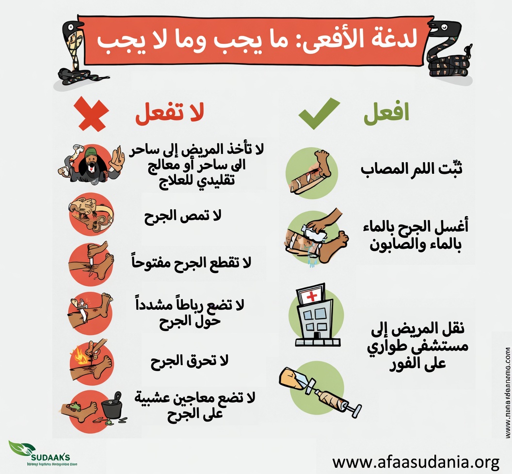 كيفية التمييز بين لدغات الأفاعي السامة وغير السامة: العلامات الأساسية وخطوات الإسعافات الأولية