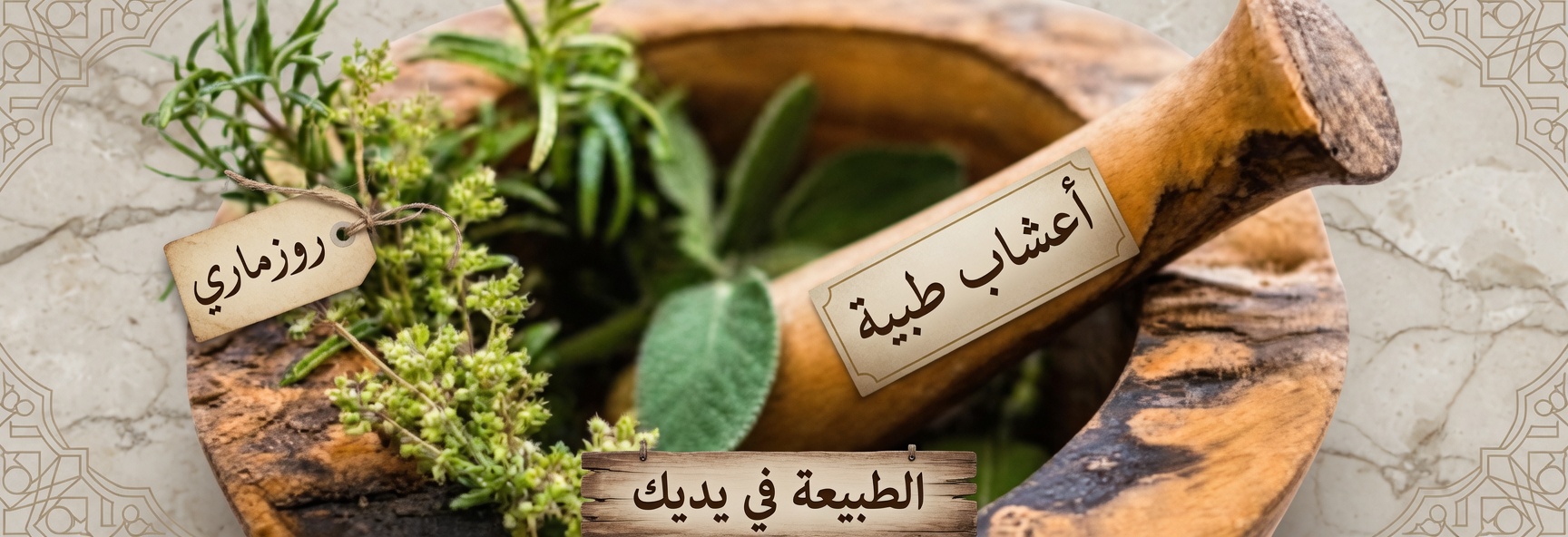 اكتشف أفضل الأعشاب التي قد تدعم صحة الدورة الدموية في الساقين وتقلل التورم بشكل طبيعي