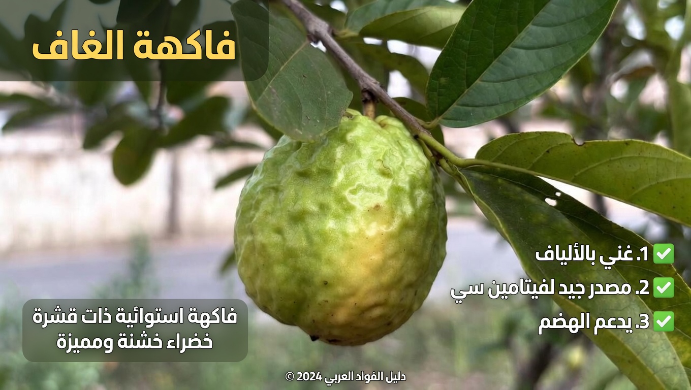 استكشاف الطرق الطبيعية لدعم صحة العين بالجوافة: دليل للعادات اليومية