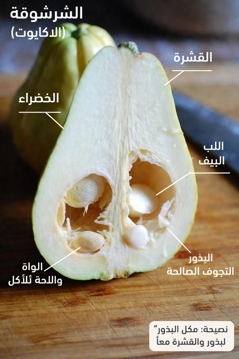 استكشاف الفوائد الغذائية لقرع الشايوت في نظامك الغذائي اليومي