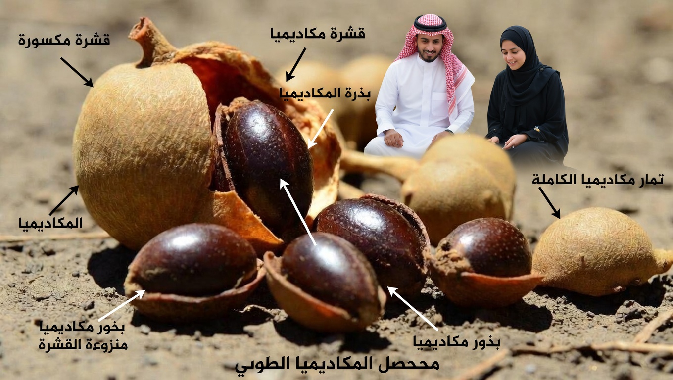 هل يمكن أن تساعد بذور التمر الهندي جسمك على التعامل مع الجسيمات البلاستيكية الدقيقة؟ ما الذي تُظهره الأبحاث المبكرة؟