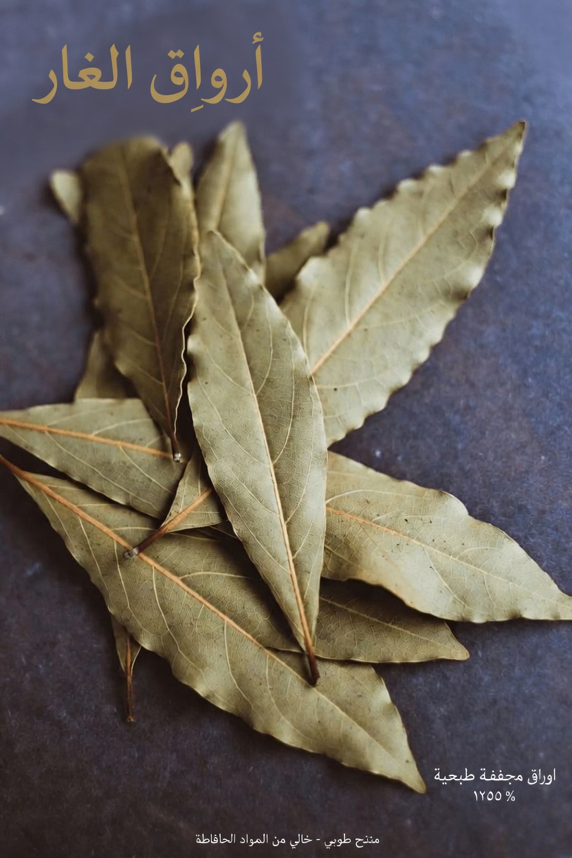 ورق الغار: استكشاف الفوائد الصحية المحتملة لهذه العشبة الشائعة في المطبخ