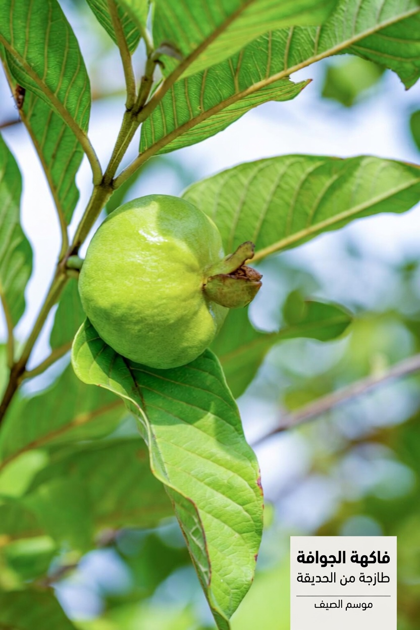 هل يمكن لهذه الفاكهة اليومية أن تساعد في حماية عينيك مع التقدم في السن؟