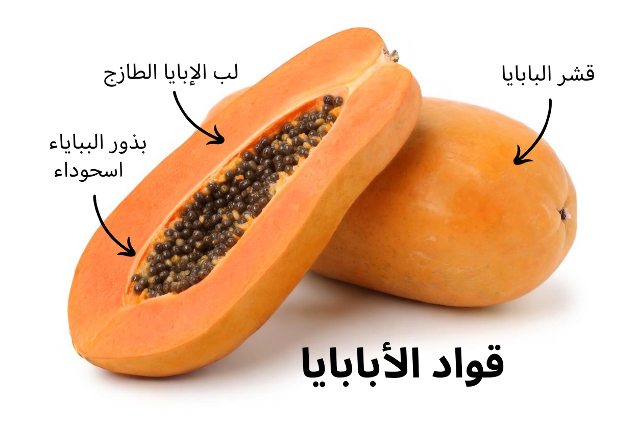 ارتفاع الكرياتينين ليلًا؟ 4 فواكه يغفل عنها كبار السن كثيرًا لدعم الكلى بلطف