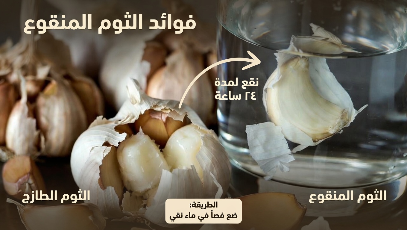 لماذا يشرب الكثير من الناس ماء الثوم على معدة فارغة كل صباح