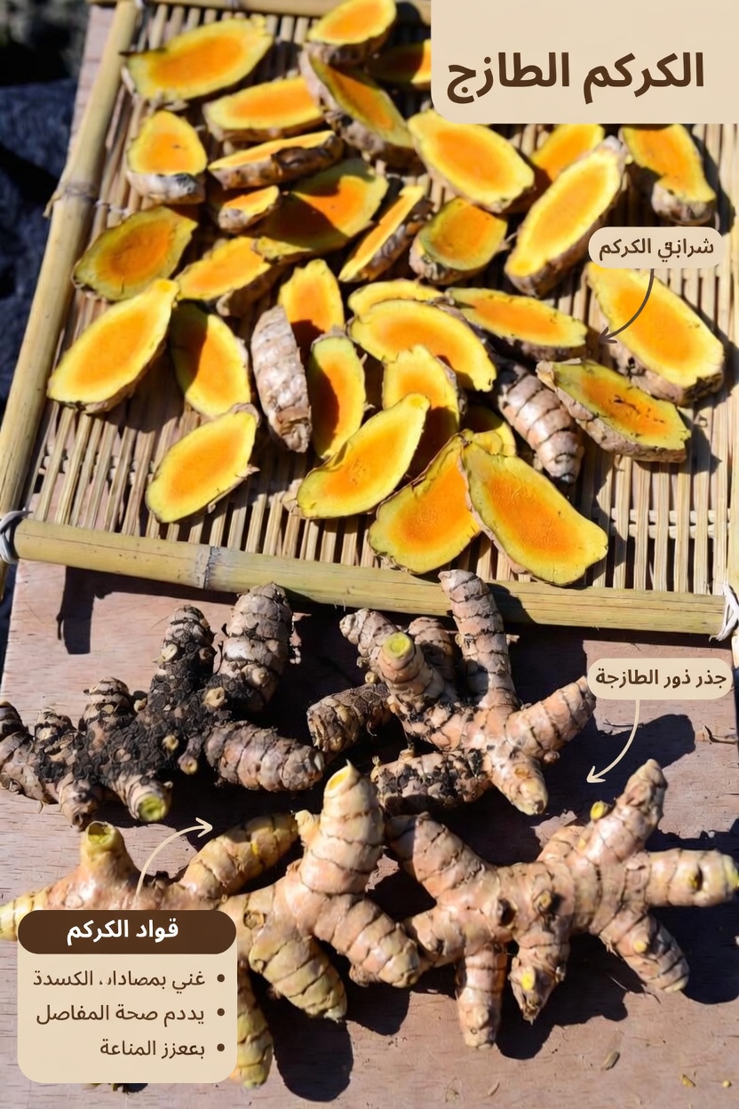 7 أطعمة قد تدعم تدفق الدم الصحي والدورة الدموية بشكل طبيعي