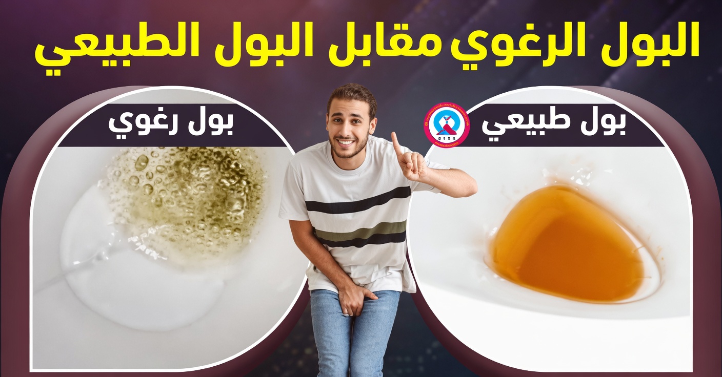 لماذا يبدو بولك رغويًا؟ فهم هذه الإشارة الشائعة لصحة الكلى