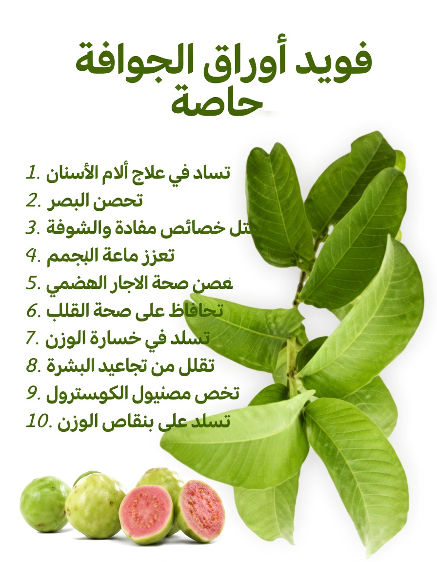 اكتشف طرقًا بسيطة لاستخدام أوراق الجوافة لتحسين عادات العناية بالفم