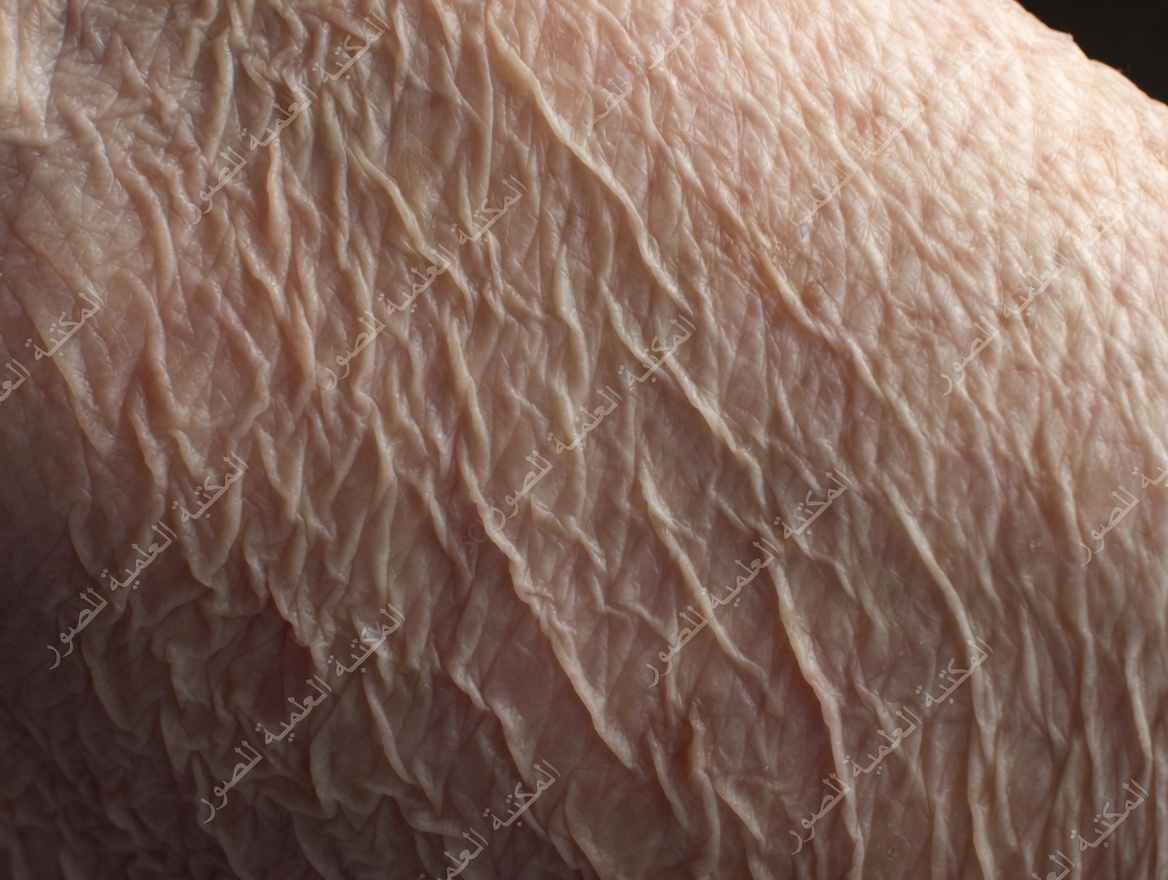 هل ترتكب هذا الخطأ الشائع في العناية بالبشرة لمدة 3 دقائق كل يوم؟