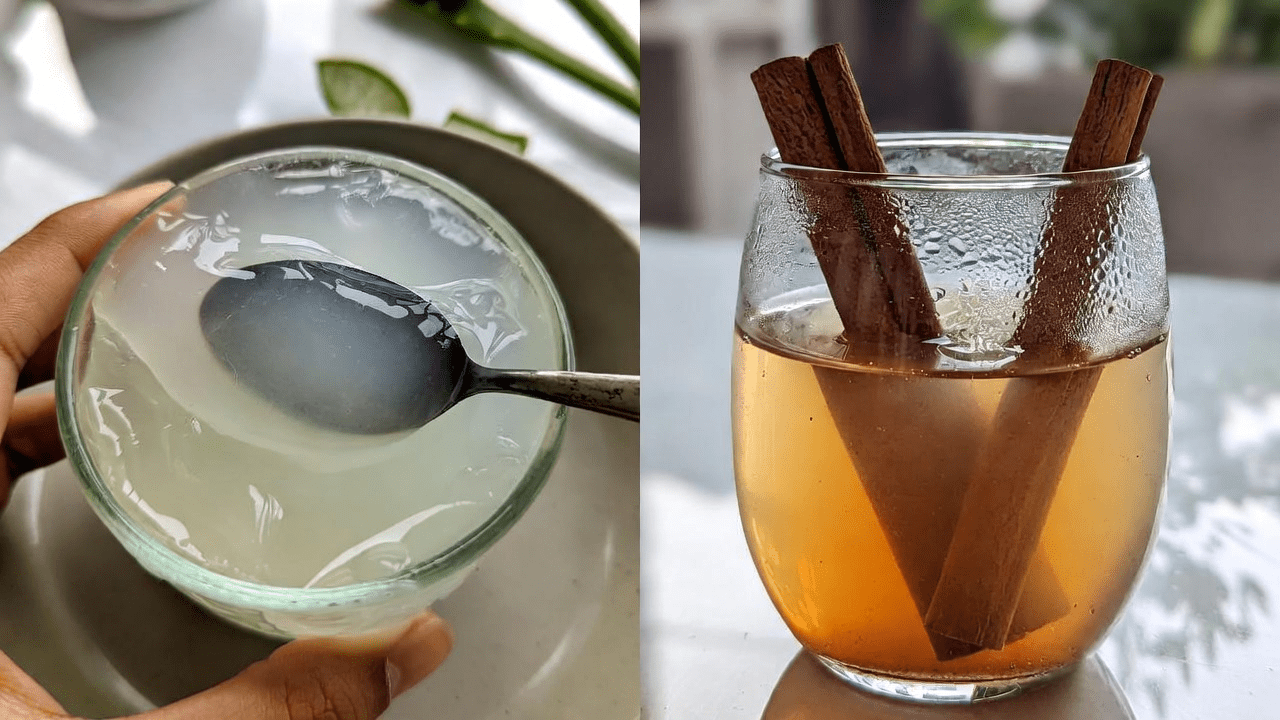 الألوفيرا والقرفة: استكشاف المكونات الطبيعية للصحة ودعم العينين