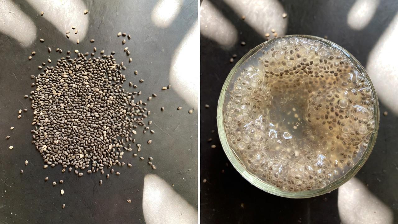 لماذا تهم صحة القولون للراحة اليومية