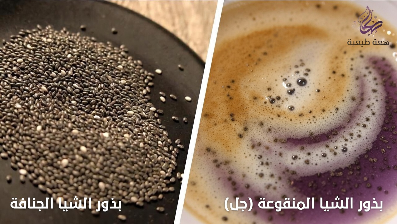 لماذا تهم صحة القولون للراحة اليومية