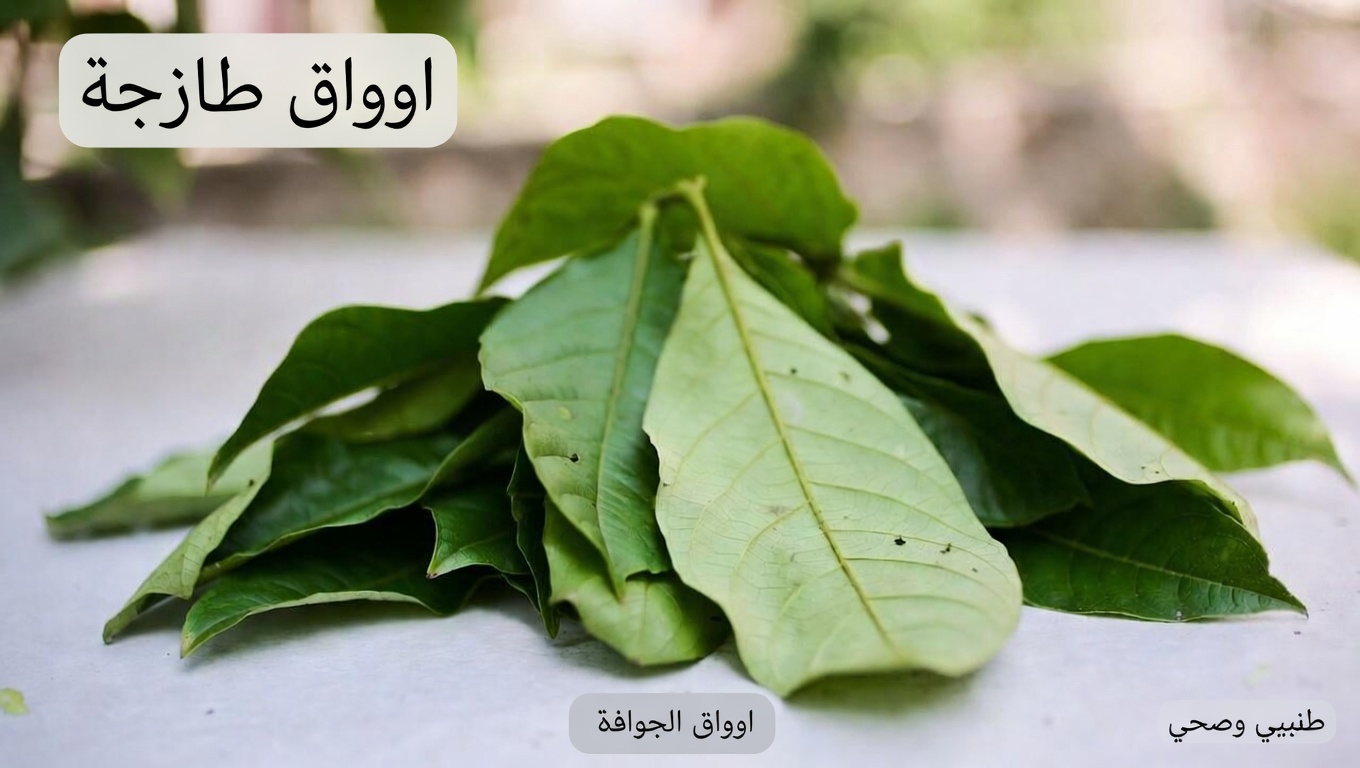 اكتشاف عادة صباحية بسيطة: شاي أوراق الجوافة ودوره المحتمل في دعم سكر الدم اليومي