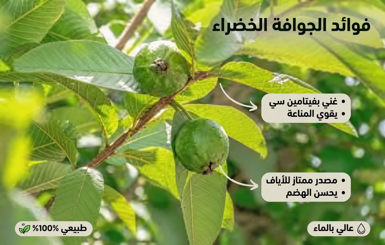 أفضل 3 طرق لعلاج تسوس الأسنان بأوراق الجوافة – بسيطة وفعالة من حيث التكلفة