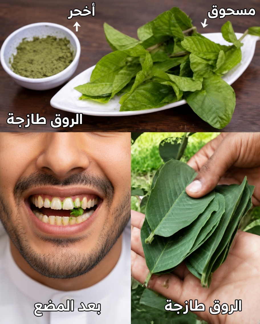 أفضل 3 طرق لعلاج تسوس الأسنان بأوراق الجوافة – بسيطة وفعالة من حيث التكلفة
