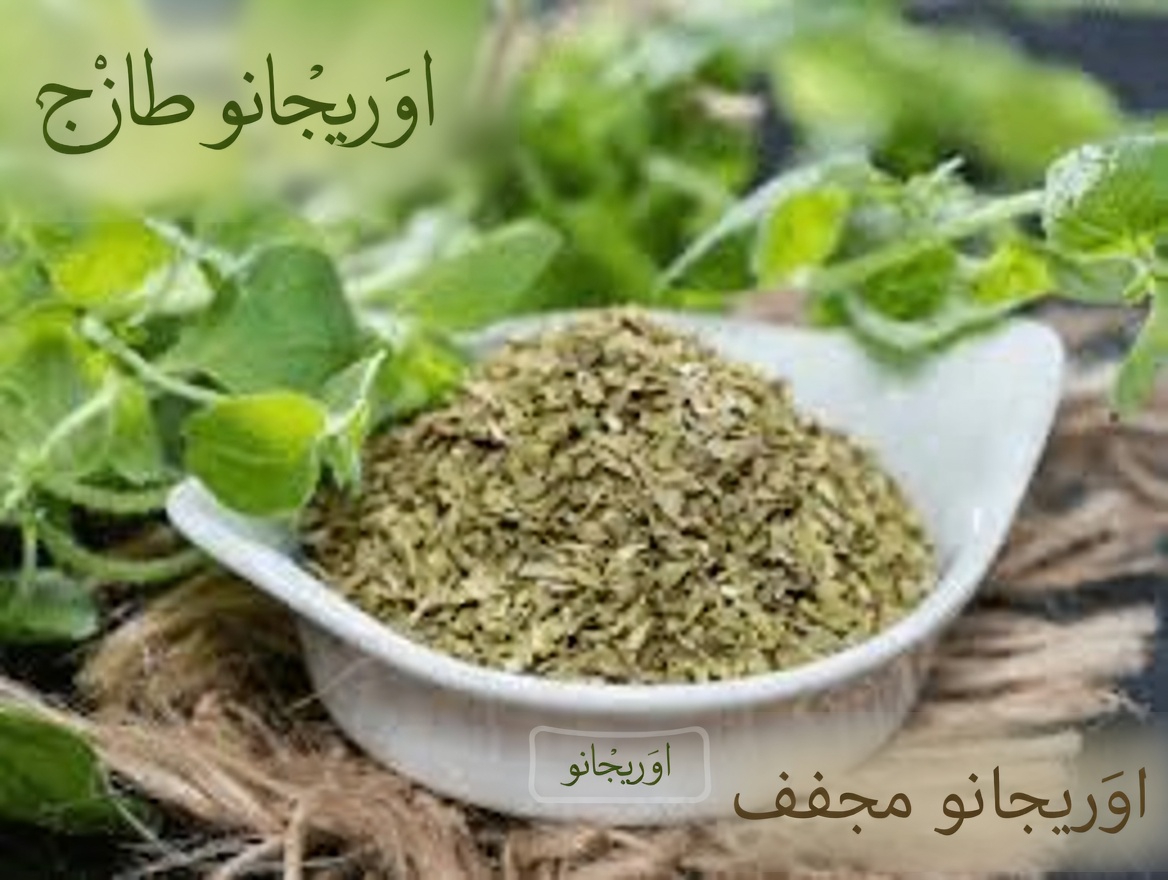 اكتشف الطرق المدهشة التي يمكن أن يدعم بها الأوريجانو روتينك اليومي للعافية