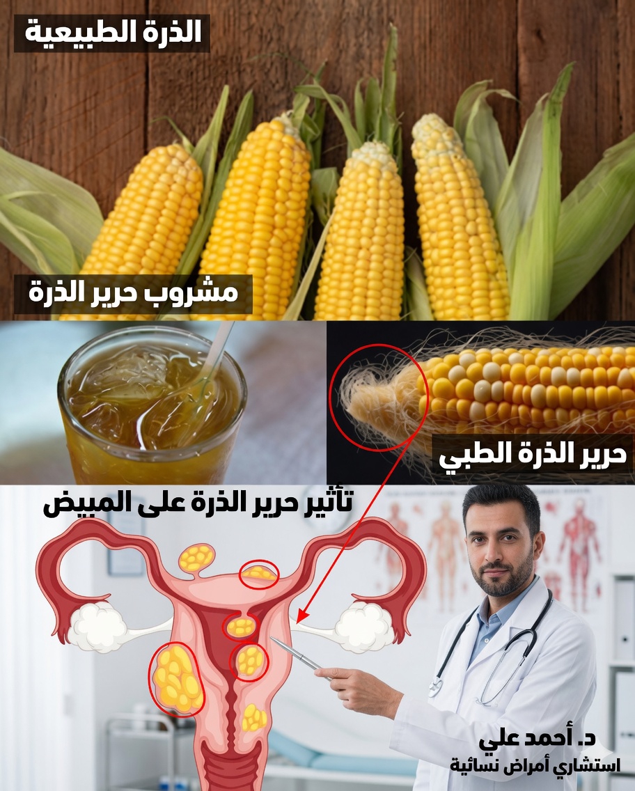 اغلوا شعر الذرة: سر طبيعي قديم لصحتكم