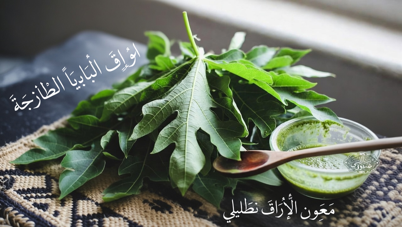 هل يمكن لأوراق البابايا أن تدعم نموًا أسرع للشعر الطبيعي من نوع 4C؟ استكشاف طريقتين بسيطتين وتخفيف قشرة الرأس