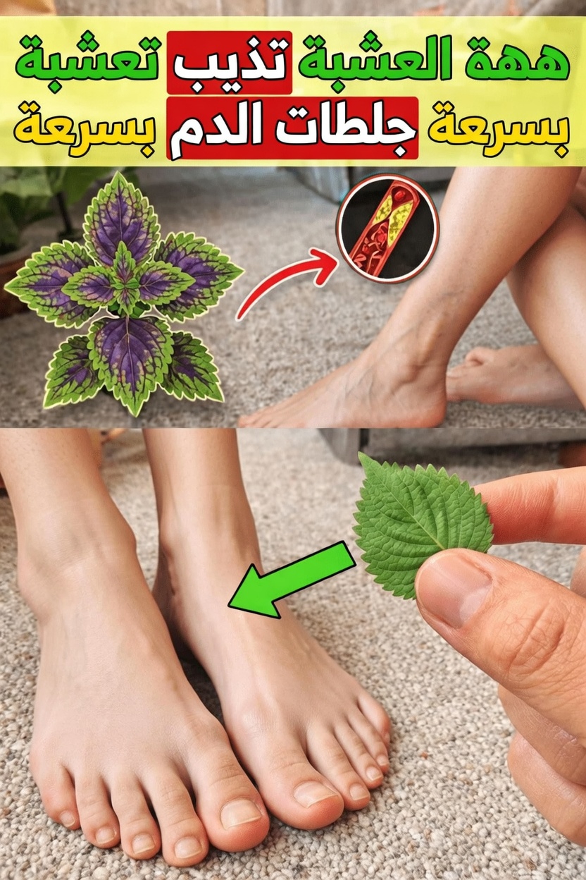هل يمكن لبعض الأعشاب اليومية أن تدعم تحسين الدورة الدموية في الساقين وتساعد في تقليل مخاطر التجلط؟