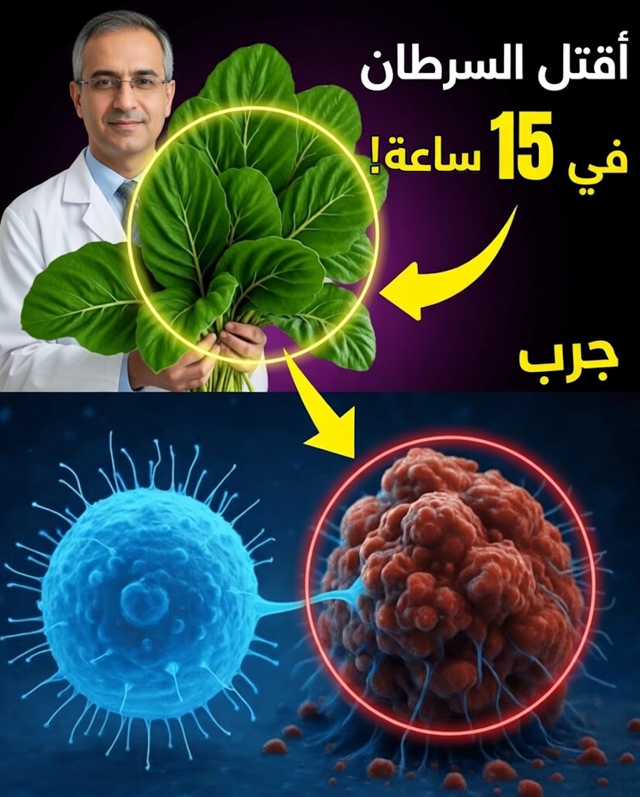6 عادات يومية لحماية كليتيك (بدءًا من اليوم)