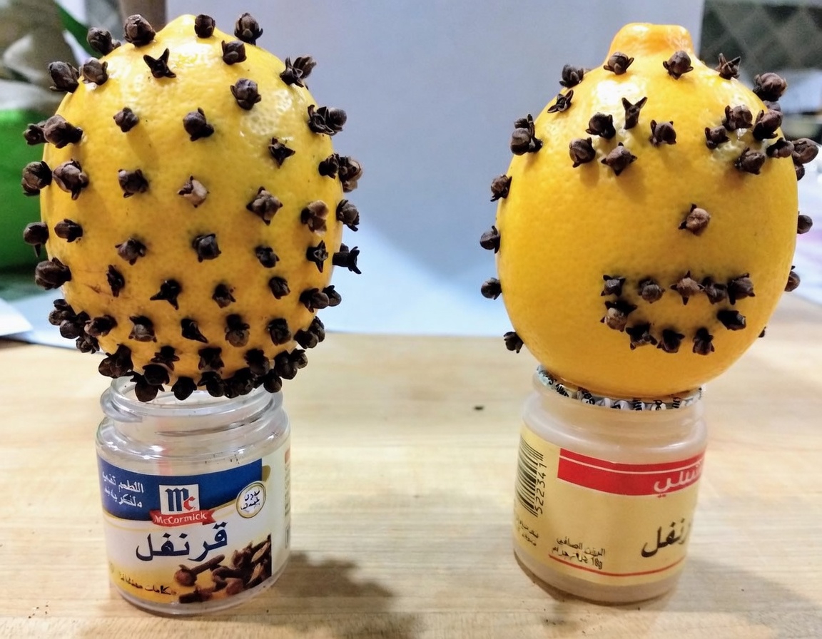 اكتشف مزيجًا طبيعيًا للصحة في المنزل