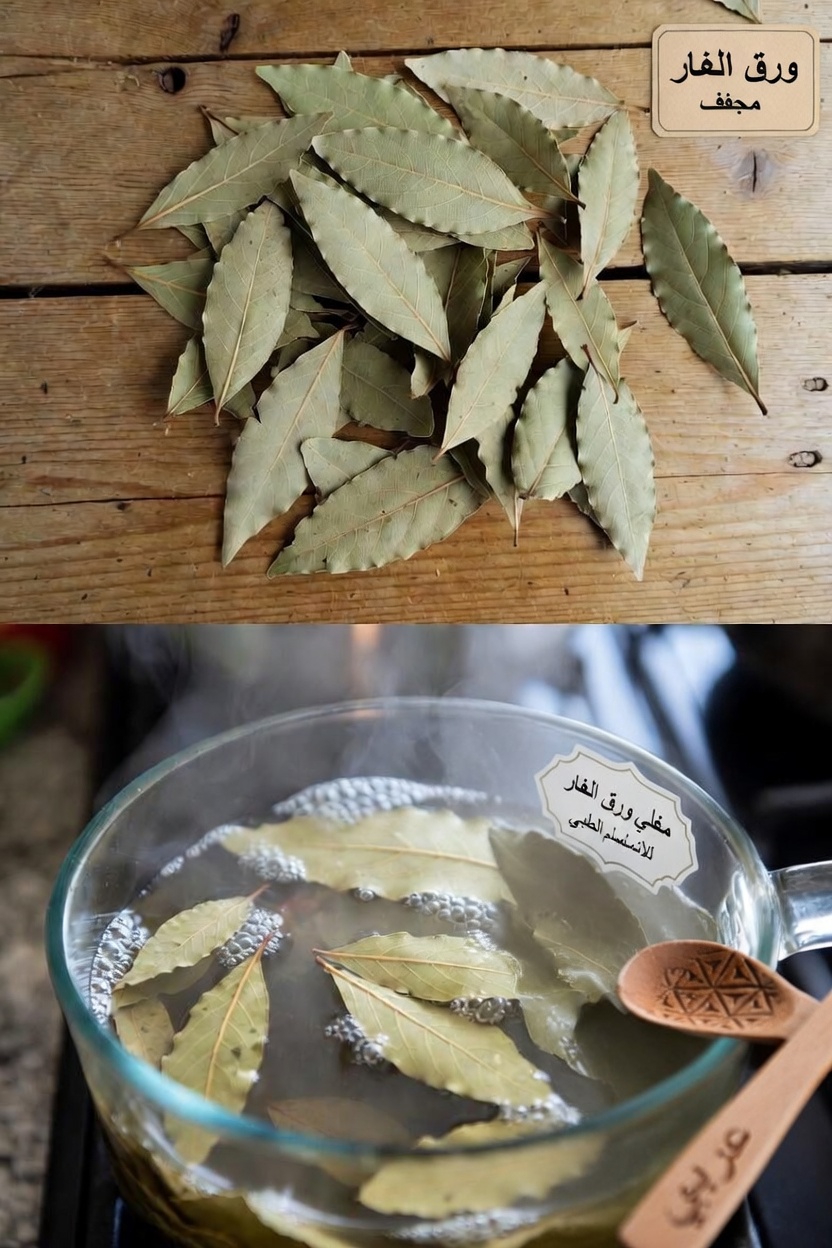 كشف أسرار أوراق الغار: دليل لاستخدام هذه العشبة لتعزيز الإشراقة الطبيعية لبشرتك