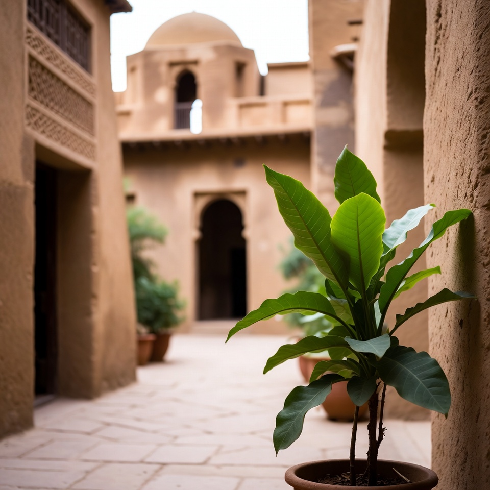 يرتبط هذا النبات تقليديًا بدعم صحة العينين