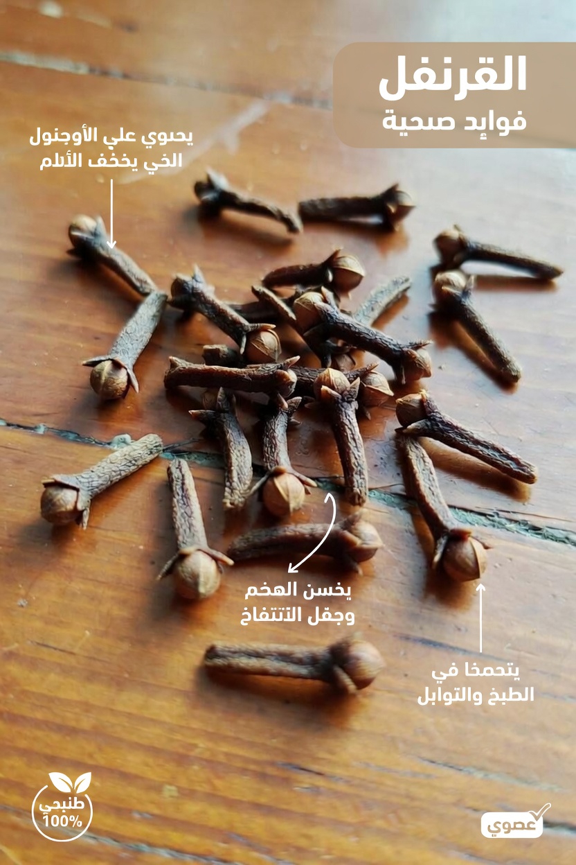 ماذا يحدث عندما تتناول فصّين من الثوم يوميًا لمدة أسبوع؟ استكشاف الفوائد المحتملة