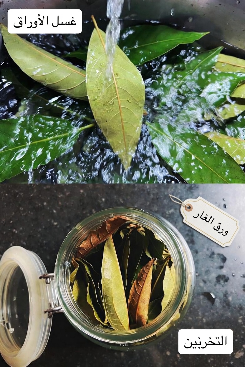 أوراق الجوافة لصحة العظام والمفاصل: وصفات سهلة ونصائح لتجربتها في المنزل اليوم