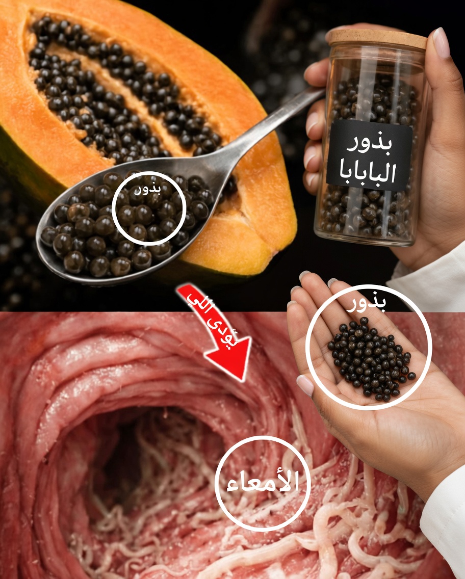 الطعام الخارق المُهمَل في وعاء الفاكهة لديك: 14 فائدة مذهلة لبذور البابايا قد تُحوّل صحتك اليومية