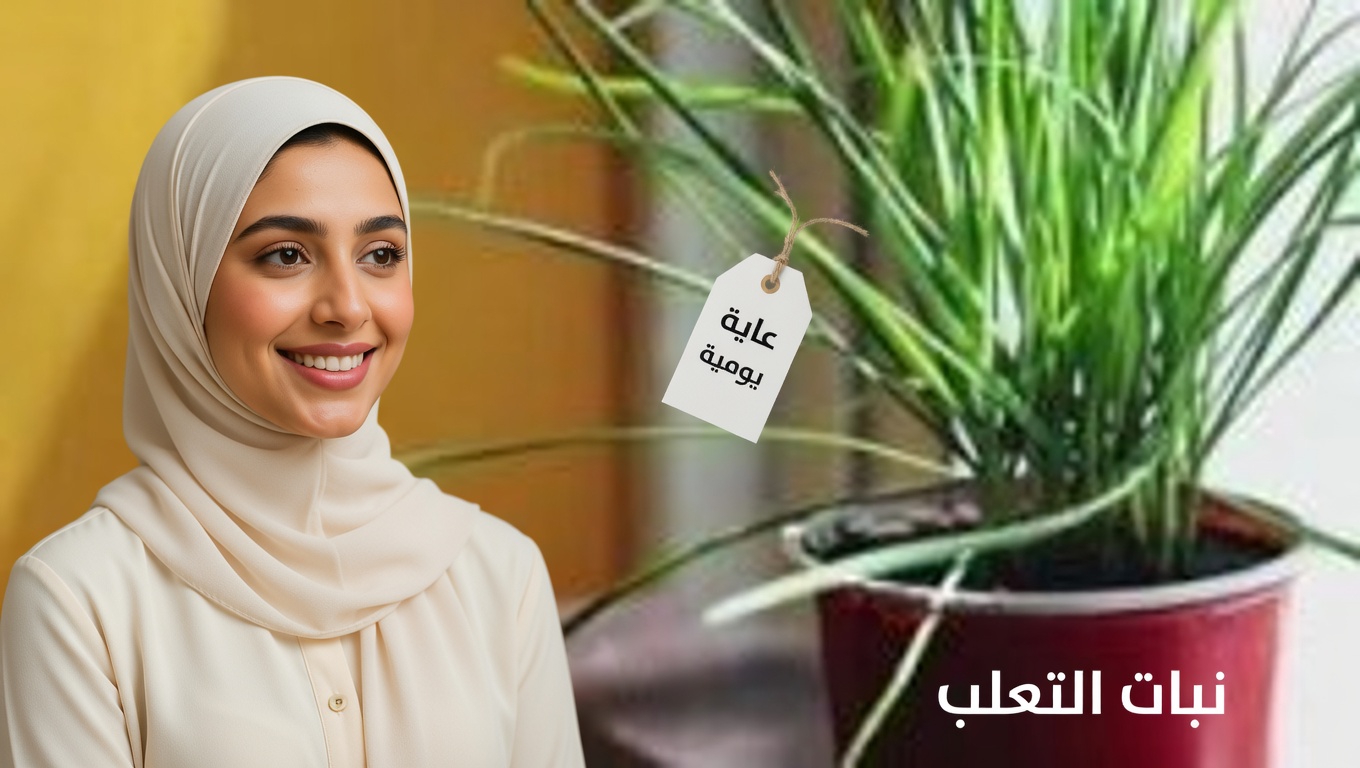 مكافحة الآفات الطبيعية: استخدام الفلفل الأحمر الحار لطرد حشرات المنّ والقواقع