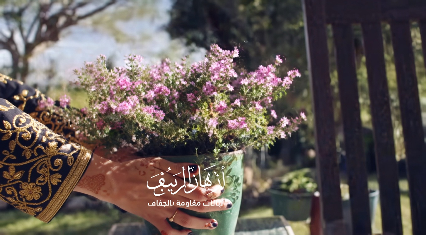 مكافحة الآفات الطبيعية: استخدام الفلفل الأحمر الحار لطرد حشرات المنّ والقواقع