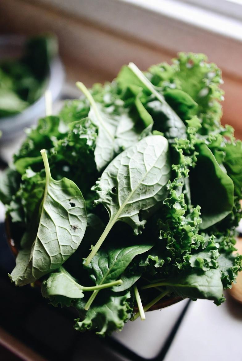 اكتشف كيف يدعم فيتامين ك صحة الدورة الدموية في الساقين لدى كبار السن