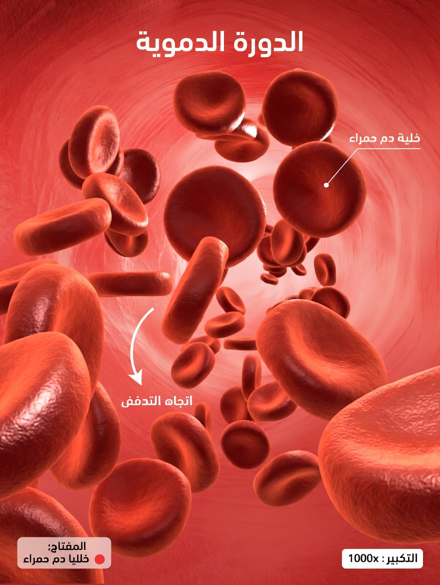 كوب واحد لرؤية أفضل: الفوائد الصحية لعصير الجزر والشمندر للبصر