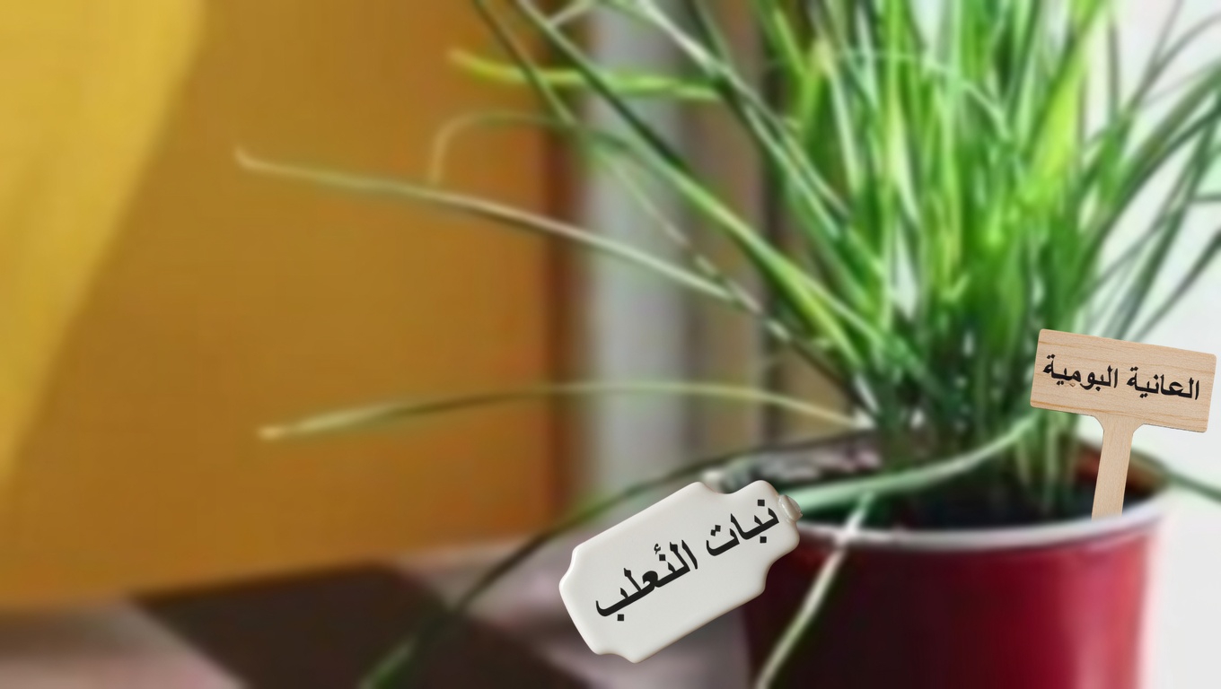 أعشاب ضارة أم كنوز؟ اكتشف الكنوز الخفية في هذه النباتات الأربعة الشائعة