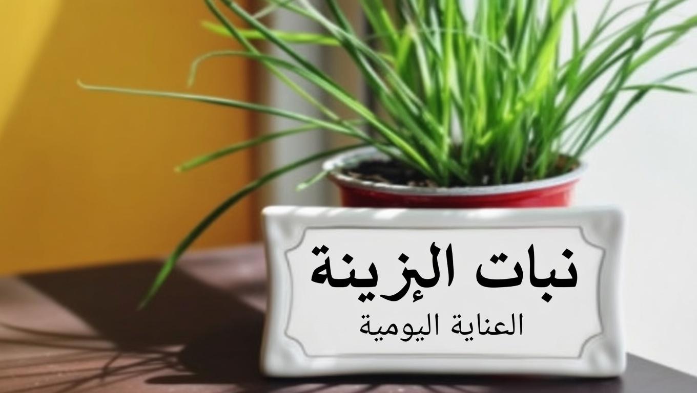 حشيشة الحصان (Erigeron canadensis): 20 فائدة مذهلة وكيفية استخدامها